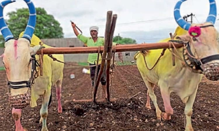 ಬಿತ್ತನೆಗೆ ಅನ್ನದಾತರ ಸಿದ್ದತೆ ಜೋರು