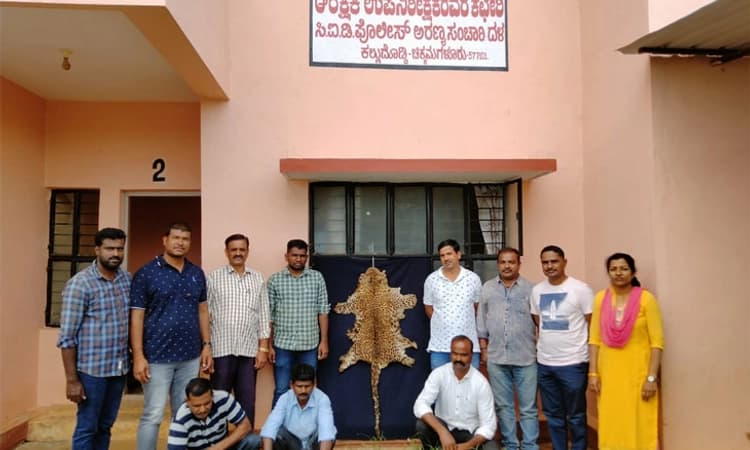 ಚಿಕ್ಕಮಗಳೂರಿನಲ್ಲಿ ಚಿರತೆ ಚರ್ಮ ಮಾರಾಟಕ್ಕೆ ಯತ್ನ; ಮೂವರು ವಶಕ್ಕೆ