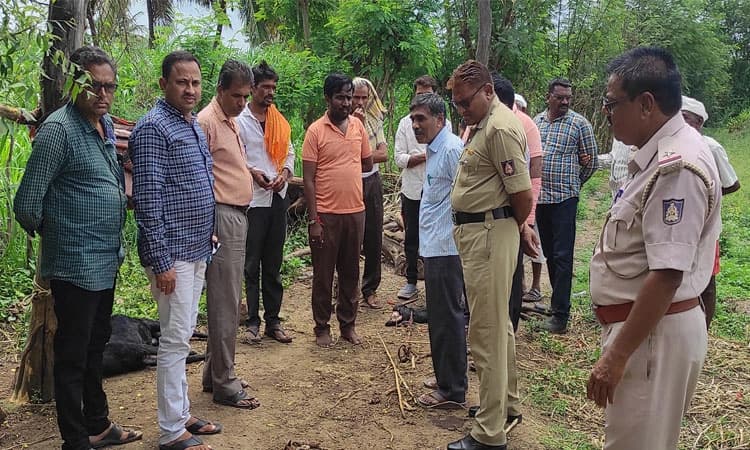 ಅಪರಿಚಿತ ಪ್ರಾಣಿ ದಾಳಿಗೆ 18 ಮೇಕೆ ಬಲಿ