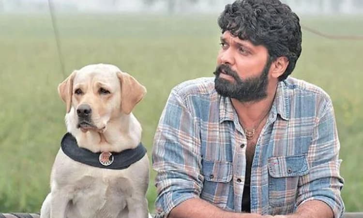 ಮನಸ್ಸು ಬದಲಿಸುವ ಬದಲಿಸುವ ಚಿತ್ರವಿದು: 777 ಚಾರ್ಲಿ ಬಗ್ಗೆ ರಕ್ಷಿತ್ ಮಾತು