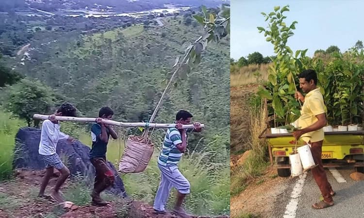ಕರೀಘಟ್ಟ ಹಸಿರೀಕರಣಕ್ಕೆ ಆಟೋ ಚಾಲಕನ ಶ್ರಮ