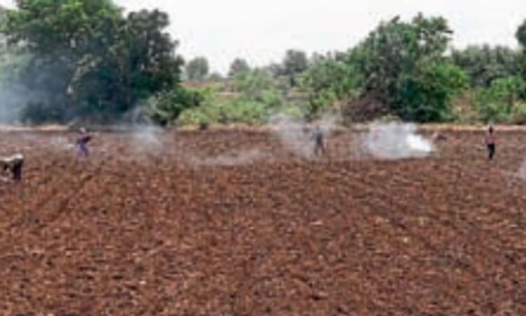 ಮುಂಗಾರು ಪೂರ್ವ ಮಳೆ; ಕೃಷಿ ಚಟುವಟಿಕೆ ಚುರುಕು