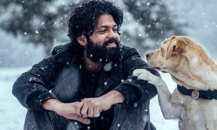 777 ಚಾರ್ಲಿ: 21 ನಗರಗಳಲ್ಲಿ ಪ್ರೀಮಿಯರ್ ಶೋ