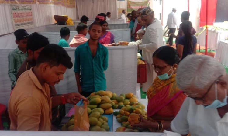 ಮಾವುಮೇಳ: 1.15 ಕೋಟಿ ರೂ. ವಹಿವಾಟು