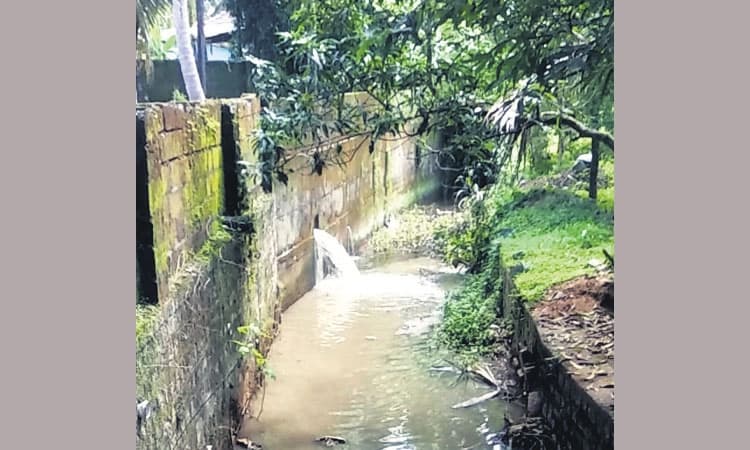 ಕಡೆಕಾರು ಗ್ರಾಮದ ತೋಡಿನಲ್ಲಿ ಉಡುಪಿ ನಗರದ ಕೊಳಚೆ ನೀರು