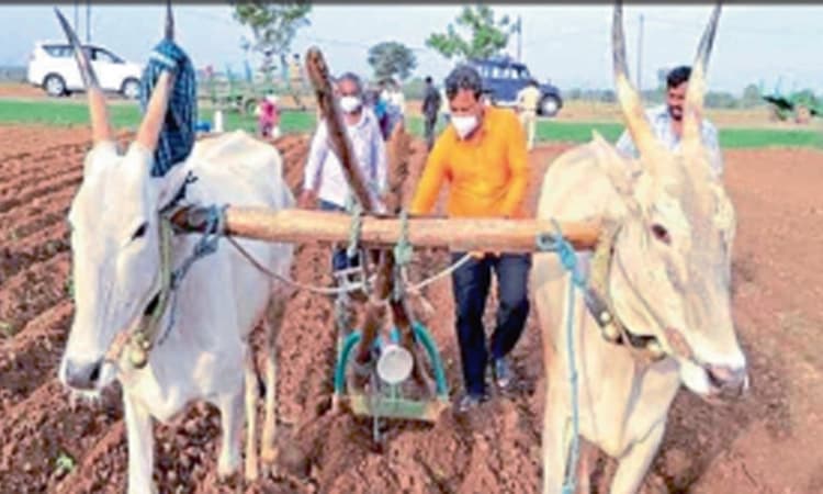 ಧರೆ ತಣಿಸಿದ ಮುಂಗಾರು: ಕೃಷಿ ಕಾರ್ಯ ಜೋರು