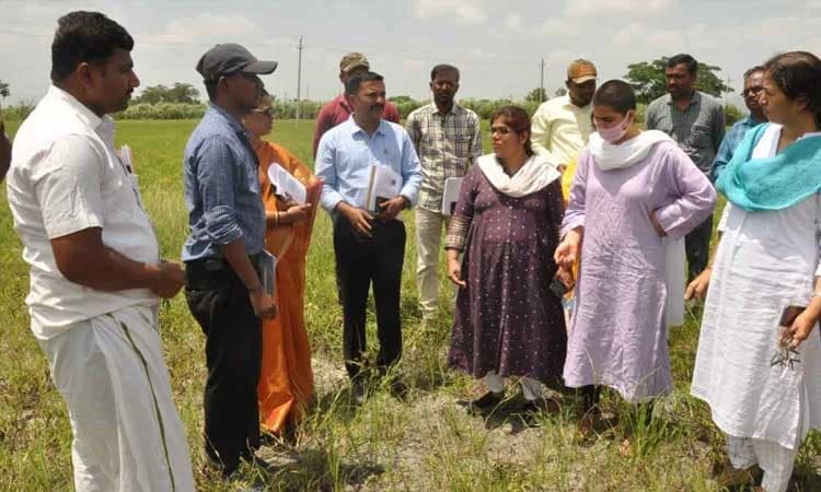 ಬೆಳೆ ಹಾನಿ ವೀಕ್ಷಿಸಿದ ಉಸ್ತುವಾರಿ ಕಾರ್ಯದರ್ಶಿ