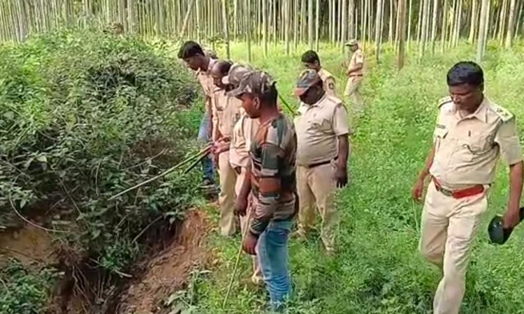 ಕೊರಟಗೆರೆ : ಬೆಳ್ಳಂಬೆಳಗ್ಗೆ ಚಿಕ್ಕರಸನಹಳ್ಳಿ ಗ್ರಾಮಸ್ಥರನ್ನು ಬೆಚ್ಚಿ ಬೀಳಿಸಿದ ಕರಡಿಗಳು