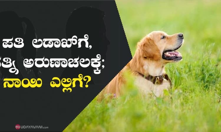 ಪತಿ ಲಡಾಖ್‌ಗೆ, ಪತ್ನಿ ಅರುಣಾಚಲಕ್ಕೆ ; ನಾಯಿ ಎಲ್ಲಿಗೆ?