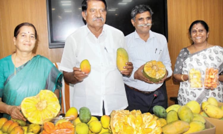 ತಾಜಾ ಮಾವು, ಹಲಸು ಬೇಕಾ?ಮೇಳಕ್ಕೆ ಬನ್ನಿ;ಲಾಲ್‌ಬಾಗ್‌ನಲ್ಲಿ ಜೂ.13ರವರೆಗೆ ಪ್ರದರ್ಶನ, ಮಾರಾಟ