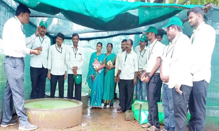 ಪಶುಗಳ ಪರ್ಯಾಯ ಆಹಾರ ಅಜೋಲ್ಲಾ ಪರ್ನ್