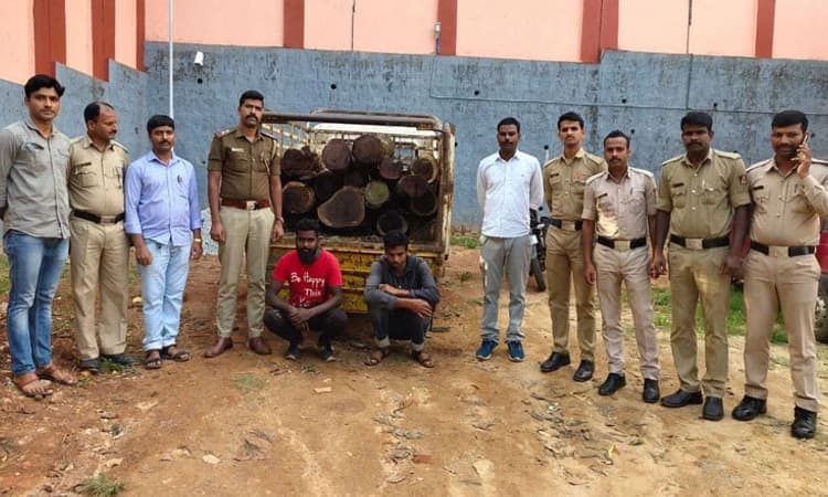 ಬೀಟೆ ಮರ ಸಾಗಾಟ: ಆರೋಪಿಗಳ ಬಂಧನ