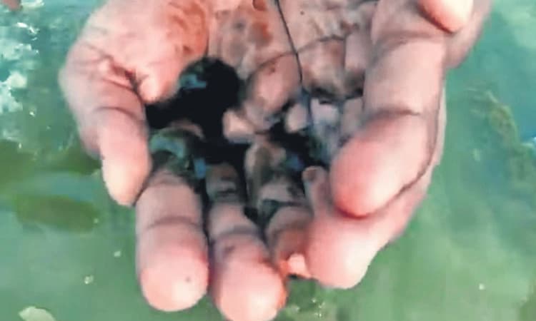 ಕುಂದಾಪುರ: ಸಮುದ್ರದ ಅಲೆಗಳಲ್ಲಿ ಕಪ್ಪು ದ್ರವ