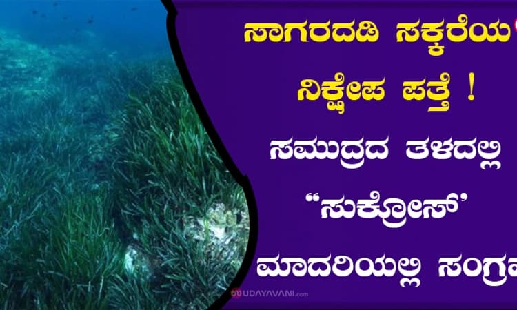 ಸಾಗರದಡಿ ಸಕ್ಕರೆಯ ನಿಕ್ಷೇಪ ಪತ್ತೆ! ಸಮುದ್ರದ ತಳದಲ್ಲಿ “ಸುಕ್ರೋಸ್‌’ ಮಾದರಿಯಲ್ಲಿ ಸಂಗ್ರಹ