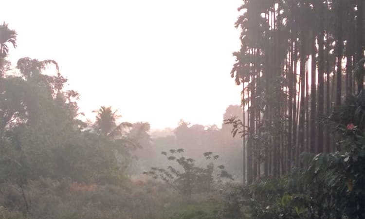 ಕರಾವಳಿಯಲ್ಲಿ ತೀವ್ರ ಚಳಿ ವಾತಾವರಣ