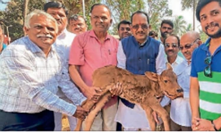 ಪ್ರತಿ ಜಿಲ್ಲೆಯಲ್ಲಿ ಗೋ ಶಾಲೆ ಪ್ರಾರಂಭ: ಚವ್ಹಾಣ