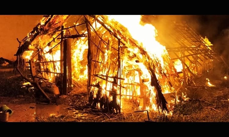 ಆಕಸ್ಮಿಕ ಬೆಂಕಿ: ಜಾನುವಾರುಗಳ ದುರ್ಮರಣ