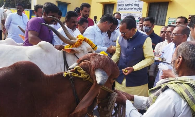 ರಾಜ್ಯವನ್ನು ಕಾಲುಬಾಯಿ ರೋಗದಿಂದ ಮುಕ್ತಗೊಳಿಸಲು ಇಲಾಖೆ ಸಂಕಲ್ಪ : ಪ್ರಭು ಚವ್ಹಾಣ್