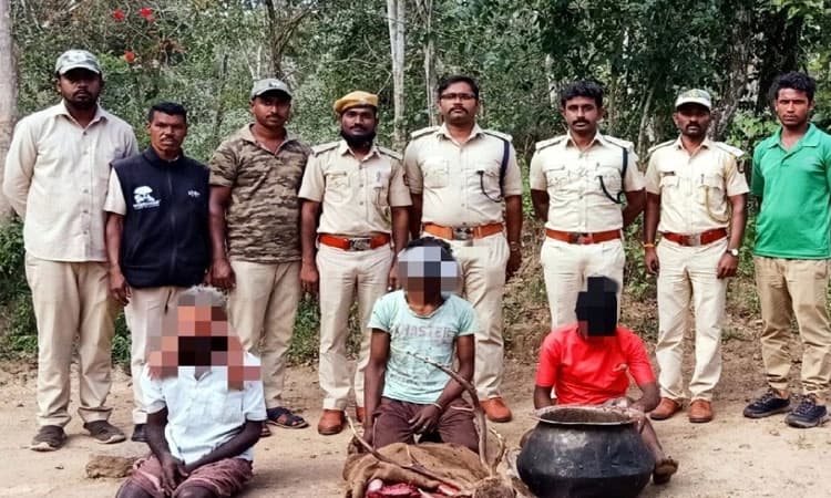 ಜಿಂಕೆ ಬೇಟೆಯಾಡಿದ ಮೂವರ ಬಂಧನ: ಚಾರ್ಲಿ(ಶ್ವಾನ)ಯ ಪ್ರಥಮ ಬೇಟೆ ಸಕ್ಸಸ್