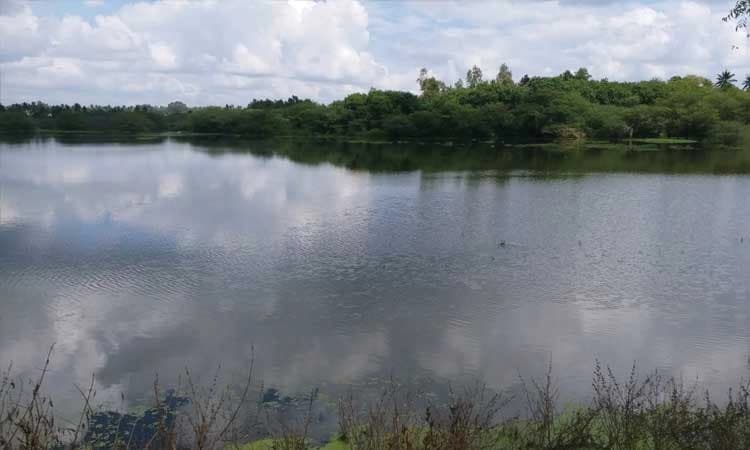 ಕಪ್ಪು ಬಣ್ಣಕ್ಕೆ ತಿರುಗಿದ ಕೆರೆ ನೀರು
