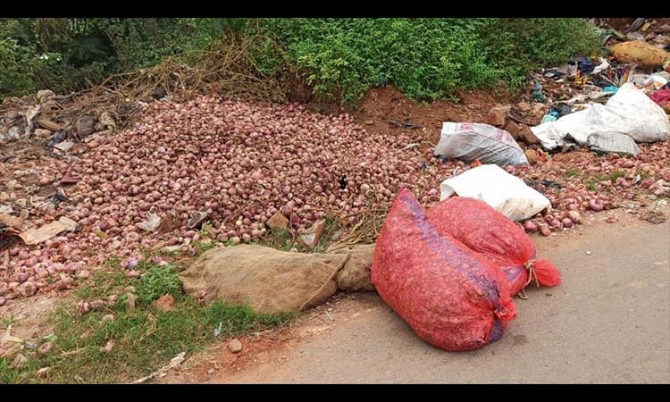 ಈರುಳ್ಳಿ ಮೂಟೆ ತಿಪ್ಪೆ ಸೇರಿದೆ ..!