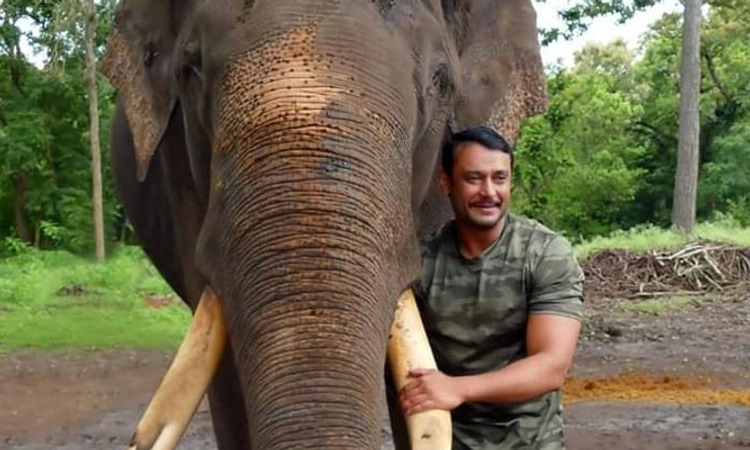 Actor Darshan; ಅರ್ಜುನ ಸಮಾಧಿಗೆ ದರ್ಶನ್‌ ಫ್ಯಾನ್ಸ್‌ ಸಾಥ್‌