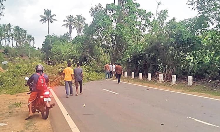Wind-Rain: ವಿವಿಧೆಡೆ ಉರುಳಿ ಬಿದ್ದ ಮರಗಳು