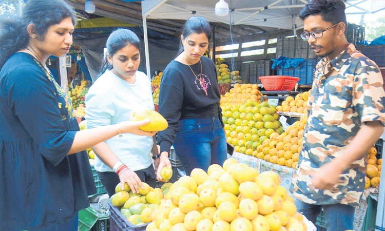 Mangoes: ಹೊರ ರಾಜ್ಯಗಳ ಮಾವಿನ ಹಣ್ಣಿನ ದರ್ಬಾರ್‌!