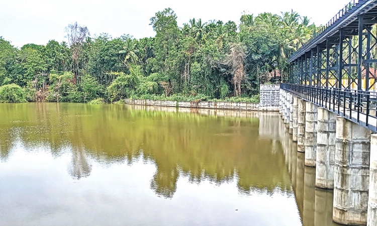 Kodagu, ಸುಳ್ಯ ಭಾಗದಲ್ಲಿ ಉತ್ತಮ ಮಳೆ ; ಪಯಸ್ವಿನಿ ನದಿಯಲ್ಲಿ ಹರಿವು ಅಲ್ಪ ಹೆಚ್ಚಳ