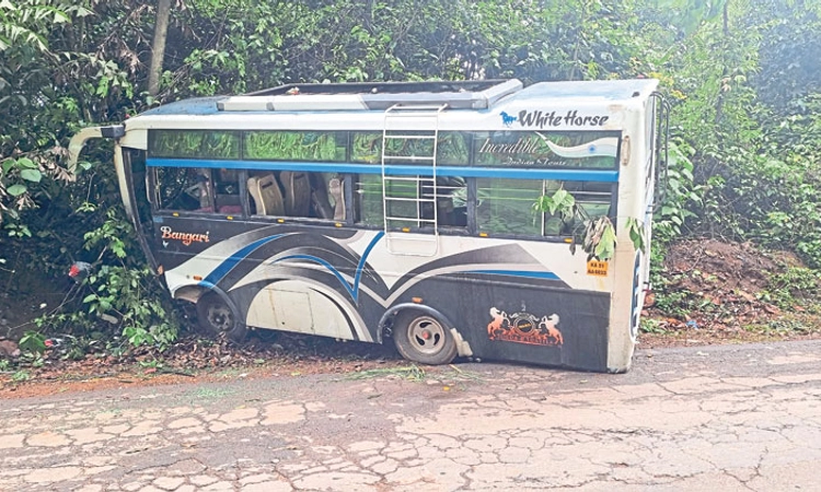 Road Mishap ಮಿನಿ ಬಸ್‌ ಅಪಘಾತ; ಹಲವರಿಗೆ ಗಾಯ