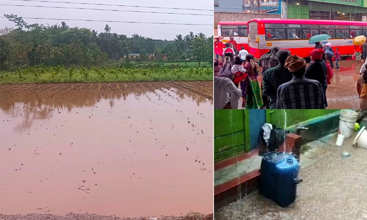 Hunsur: ಭಾರೀ ಮಳೆ; ಮನೆಗಳಿಗೆ ನುಗ್ಗಿದ ಮಳೆನೀರು; ಬೆಳೆ ಹಾನಿ, ರೈತರಿಗೆ ಸಂಕಷ್ಟ