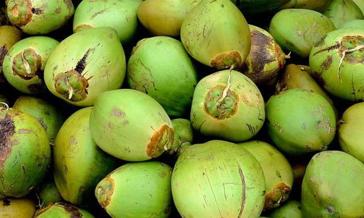 Coconut Water ಹೆಚ್ಚಿದ ಬಿಸಿಲ ಬೇಗೆ: ಎಳನೀರಿಗೆ 60 ರೂ.!