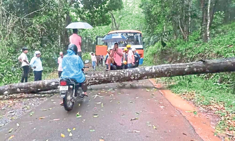 Rain ಗುಡುಗು-ಸಿಡಿಲು ಮಳೆ; ಓರ್ವ ಸಾವು, ಇಬ್ಬರಿಗೆ ಗಾಯ; ಏಕಾಏಕಿ ವರ್ಷಧಾರೆ, ಹಲವು ಕಡೆ ಹಾನಿ
