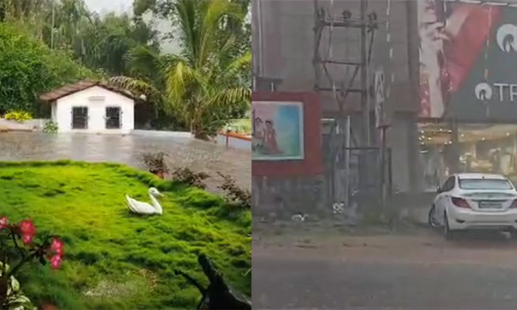 Chikkamagaluru Rains: ಕಾಫಿನಾಡು ಭಾಗದಲ್ಲಿ ಭಾರೀ ಮಳೆ;  ರೈತರ ಮೊಗದಲ್ಲಿ ಮಂದಹಾಸ