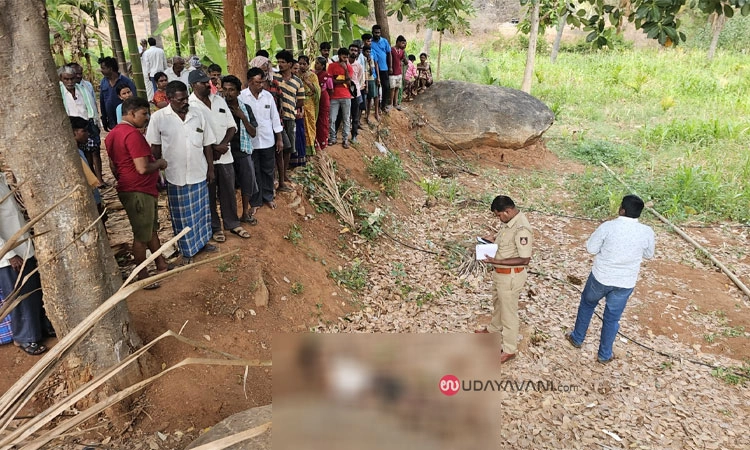 Koratagere: ಹಲಸಿನ ಮರದಿಂದ ಕಾಲು ಜಾರಿ ಬಿದ್ದು ಕೂಲಿ ಕಾರ್ಮಿಕ ಸ್ಥಳದಲ್ಲೇ ಸಾವು