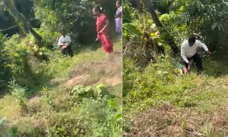 ತೆಕ್ಕಟ್ಟೆ: ಅಪಾಯದಲ್ಲಿದ್ದ ನವಿಲಿನ ರಕ್ಷಣೆ