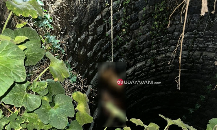 Bantwala: ನೀರಿನ ಅಭಾವದಿಂದ ಕೃಷಿ ಹಾನಿ; ಮನನೊಂದು ಕೃಷಿಕ ಆತ್ಮಹತ್ಯೆ