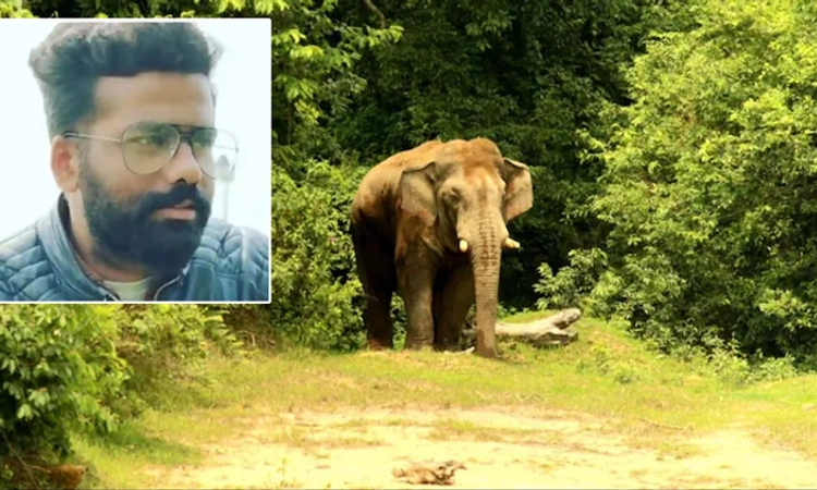 ವರದಿ ಮಾಡಲು ಹೋದವರ ಮೇಲೆ ಕಾಡಾನೆ ದಾಳಿ… ಕ್ಯಾಮೆರಾಮೆನ್ ಮೃತ್ಯು, ವರದಿಗಾರ, ಚಾಲಕ ಪಾರು