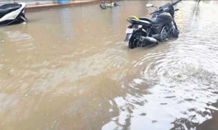 ಚಿಕ್ಕಮಗಳೂರು: ಕಾಫಿನಾಡಿನಲ್ಲಿ ಬಿಸಿಲ ಬೇಗೆಗೆ ತಂಪೆರೆದ ವರುಣ