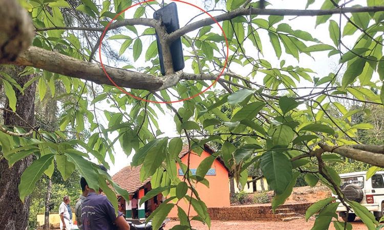 ಯಳಬೇರು: ಮರವೇರಿದ ಮೊಬೈಲ್‌!ಮರದ ಎತ್ತರದಲ್ಲಿ ನೆಟ್‌ವರ್ಕ್‌ ಸಂಪರ್ಕ; ಅಲ್ಲಿಂದ ಹಾಟ್‌ಸ್ಪಾಟ್‌