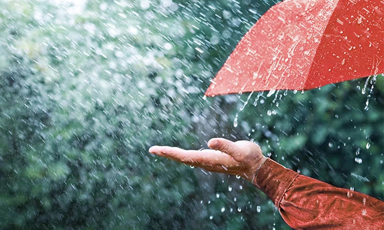 Rain ಮೇ 11ರ ವರೆಗೆ ರಾಜ್ಯದ ವಿವಿಧೆಡೆ ಮಳೆ ಸಾಧ್ಯತೆ