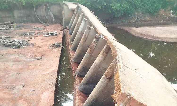 Surathkal ಸೂರಿಂಜೆ ಮೂಡುಬೆಟ್ಟು; ಅಣೆಕಟ್ಟು ಕುಸಿತ, ಕೃಷಿಕರು ಕಂಗಾಲು