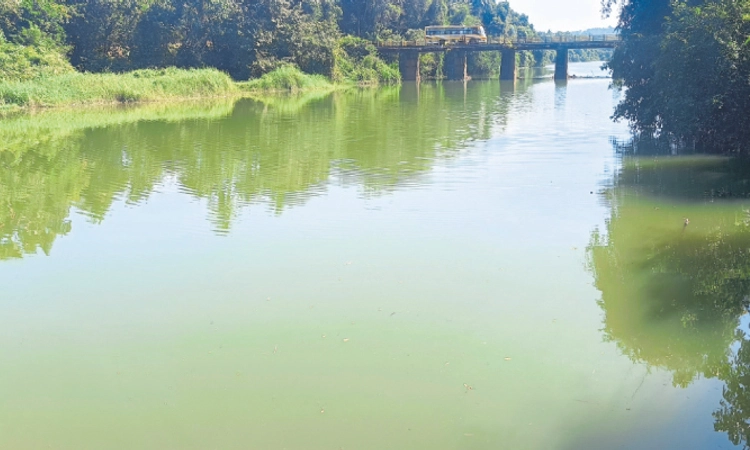 Belman: ಅಣೆಕಟ್ಟಿನ ಹಲಗೆ ಅಳವಡಿಕೆ; ತುಂಬಿದ ಶಾಂಭವಿ ನದಿ