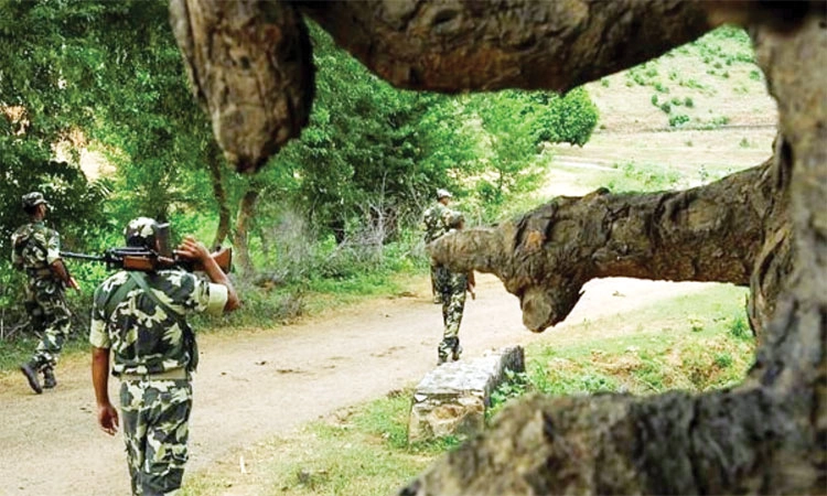 Naxal Activity Calm: ಪಶ್ಚಿಮ ಘಟ್ಟದ ಕಾನನದಲ್ಲಿ ನಕ್ಸಲ್‌ ನಿಶ್ಶಬ್ದ