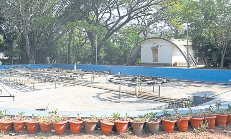 Mangaluru: ನಿರ್ವಹಣೆ ಇಲ್ಲದೆ ಆಕರ್ಷಣೆ ಕಳೆದುಕೊಂಡ ಜಿಂಕೆ ವನ