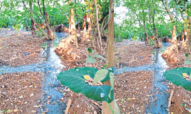 Bajpe: ಕೆಂಜಾರು ಹಾಸ್ಟೆಲ್‌  ಕೊಳಚೆ ನೀರು ಖಾಸಗಿ ಜಾಗಕ್ಕೆ; ಸುತ್ತಮುತ್ತ ದುರ್ವಾಸನೆ