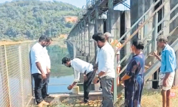 Kaikamba: ದೊಡ್ಡಳಿಕೆ ಅಣೆಕಟ್ಟಿನಿಂದ ಎಡನಾಲೆಗೆ ನೀರು