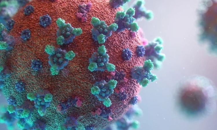 HMP: ಮತ್ತಿಬ್ಬರು ಮಕ್ಕಳಲ್ಲಿ ಎಚ್‌ಎಂಪಿ ವೈರಸ್‌: ದೇಶದಲ್ಲಿ 7ಕ್ಕೇರಿದ ಕೇಸ್‌