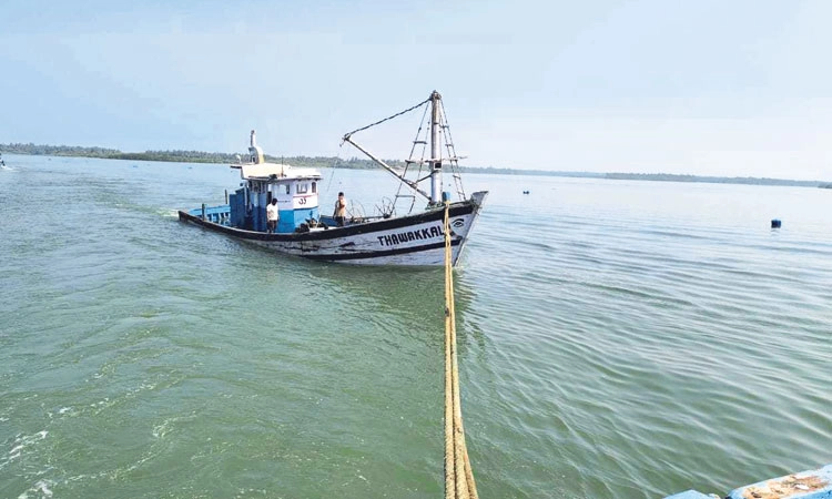 Gangolli; ಬೋಟ್‌ಗೆ ಮರದ ದಿಮ್ಮಿ ಢಿಕ್ಕಿ: ಅಪಾರ ಹಾನಿ