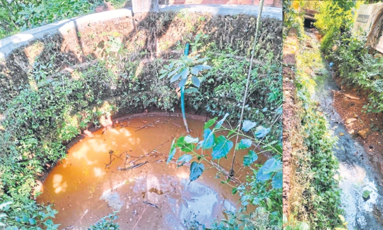 Mudbidri: ಕೊಳಚೆ ನೀರು ಗದ್ದೆಗೆ; ಒಳಚರಂಡಿ ಯೋಜನೆ ಇಲ್ಲದೆ ಸಮಸ್ಯೆ